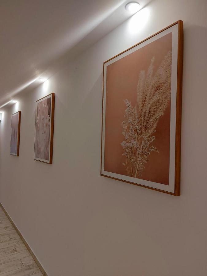 Akacos Tanya Es Vendeghaz Hotel Marok Luaran gambar